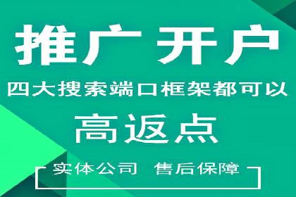 信息流广告代理案例对比分析